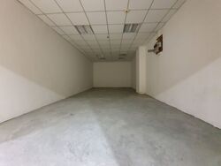 Lucky Plaza (D9), Shop House #320417851
